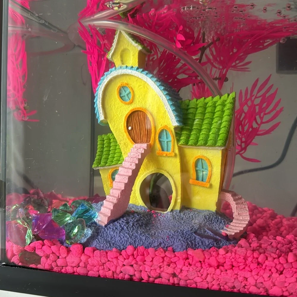 Fish tank w heater, filter, test strips, thermometer, and inside accessories.